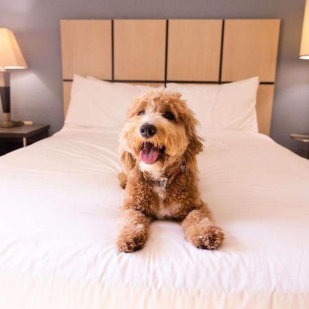 Sonesta Simply Suites Columbus Airport غاهانا المظهر الخارجي الصورة