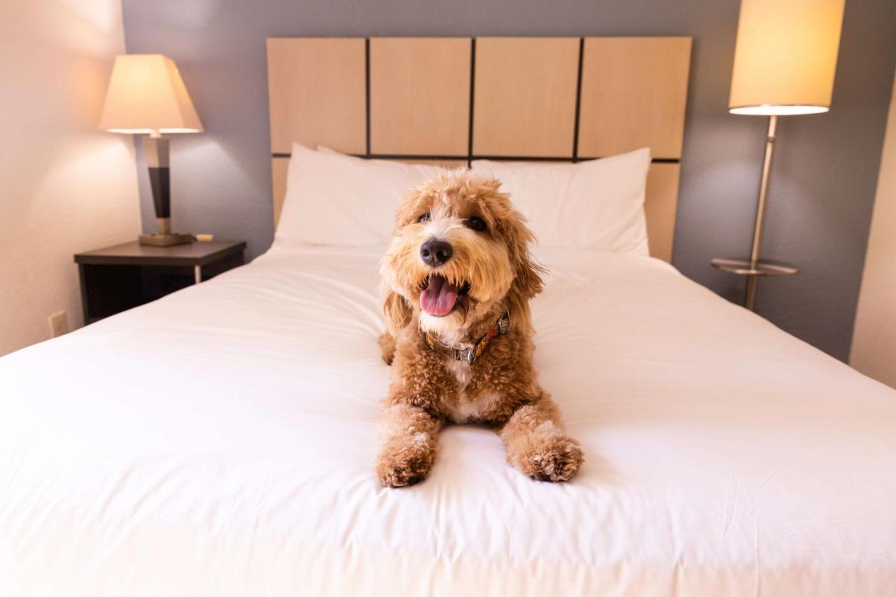 Sonesta Simply Suites Columbus Airport غاهانا المظهر الخارجي الصورة